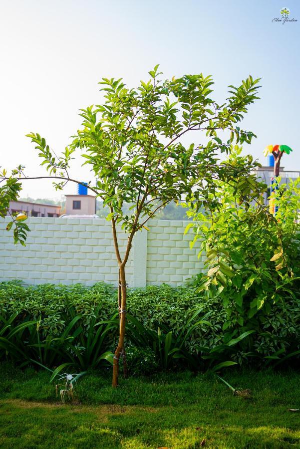 Eden Garden Villa Alibág Kültér fotó